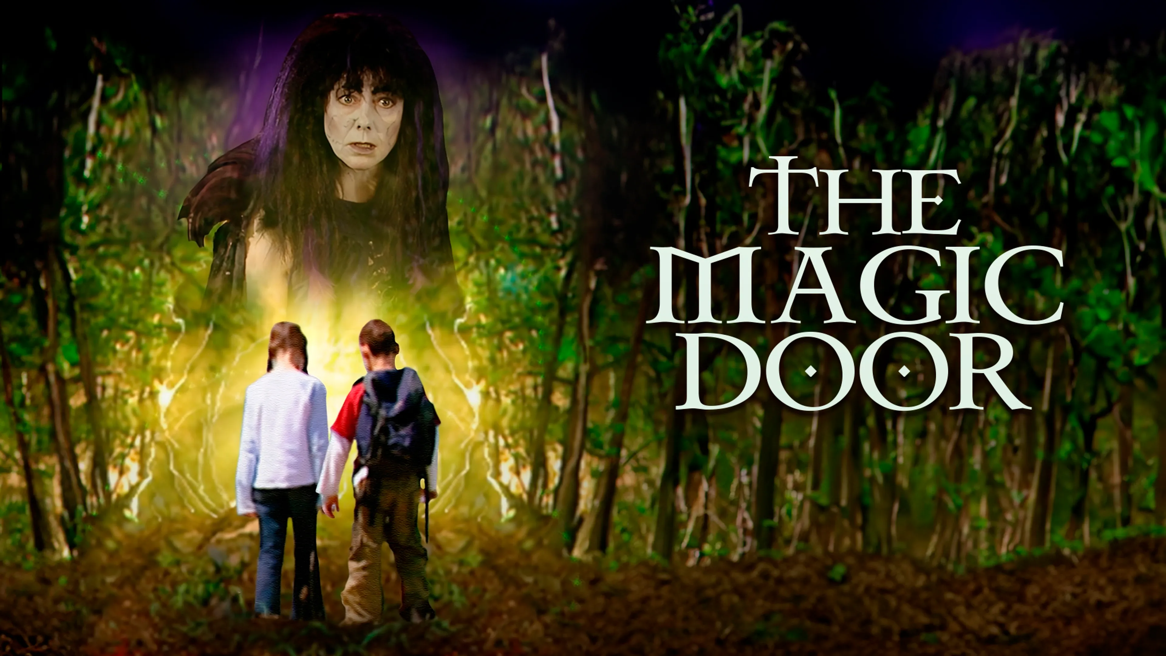 The Magic Door poster